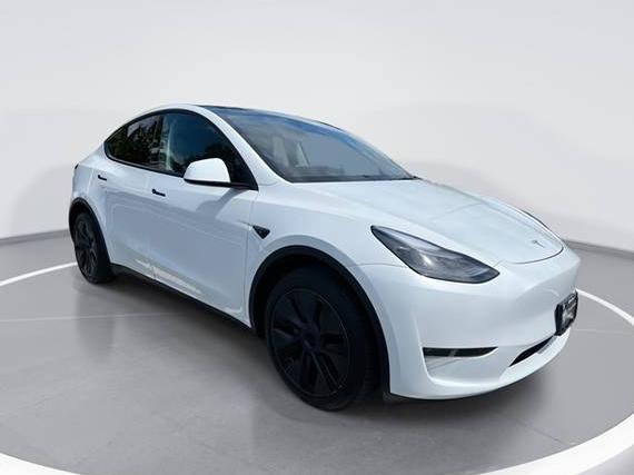 TESLA MODEL Y 2024 7SAYGDEE9RA300564 image